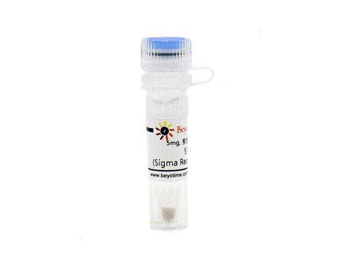 S1RA (Sigma Receptor拮抗剂)